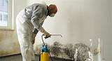 Mold Removal Professional Photos