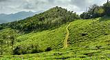 Pictures of Wayanad Tour Packages From Chennai