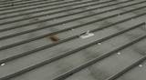 Commercial Roofing Inspection Checklist Images