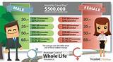 Pictures of Average Cost Of Term Life Insurance By Age