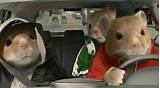 Kia Hamster Commercial You Can Get With This Pictures