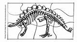 Fossils Coloring Pages Pictures