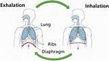 Breathing Exercises During Pneumonia