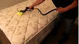 Images of Mattress Cleaning For Bed Bugs