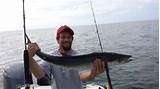 Deep Sea Fishing Charter Tampa Images