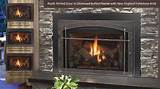 Propane Fireplace Vented Images