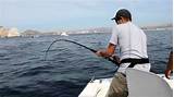Cabo Deep Sea Fishing Pictures