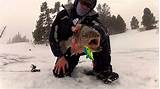 Best Ice Fishing Lures Images