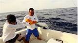 Cabo Fishing Charter Pictures