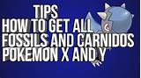 Pictures of How To Get Fossils In Pokemon X