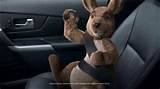 Kangaroo Dish Network Commercial Pictures