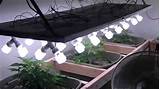 Pictures of Best Cheap Grow Light