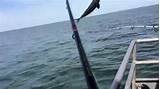 New Jersey Deep Sea Fishing