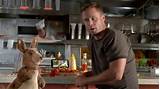 Kangaroo Dish Network Commercial Pictures