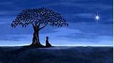 Silent Mindfulness Meditation Retreats Pictures
