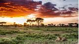 Pictures of Serengeti National Park Africa