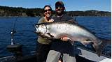 Photos of King Salmon Fishing In Ketchikan Alaska