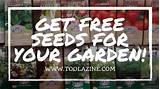 How To Get Free Seeds For Garden Photos