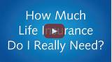 Images of How Much Life Insurance Is Needed