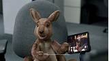 Photos of Kangaroo Dish Network Commercial