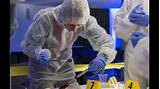 Pictures of Online Colleges Forensic Science