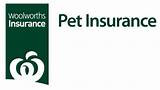 Pictures of Woolworths Pet Insurance