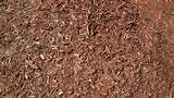 Mulch Removal Service Images