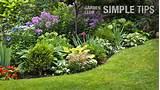 Home Depot Landscape Plants Pictures