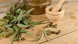 Eucalyptus Home Remedies Images