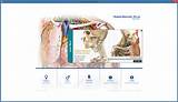 Images of Human Anatomy Software For Medical Students