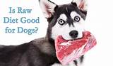 Good Pet Insurance For Dogs Photos