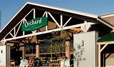 Pictures of Orchard Supply Hardware Com