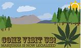 Photos of Marijuana Seeds Washington State