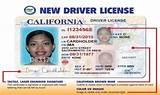 Dui License Suspension Ca