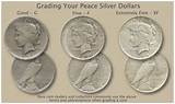 Images of 1921 Peace Dollar Value Chart