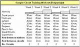 Sample Circuit Training Workouts Photos