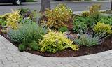No Lawn Front Yard Landscaping Pictures