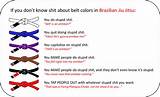 Brazilian Jiu Jitsu Ranks