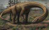 Largest Dinosaur Fossil Ever Found Images