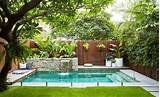 Pool Landscaping Northern Beaches Pictures