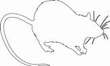 Rat Outline Pictures