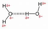 Photos of What Is A Hydrogen Bond