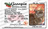 Pictures of Obtaining A Business License In Ga