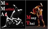 Photos of Mixed Martial Arts