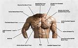 Upper Pectoral Muscle Exercises Images