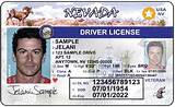 Photos of Look Up Driver''s License Number California