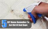 Images of How To Get Rid Of Bed Bugs Diy