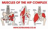 Core Muscles Hip Pain