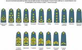 Ranks In The Army In Order Pictures