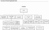 Photos of Florida Department Of Financial Services Org Chart